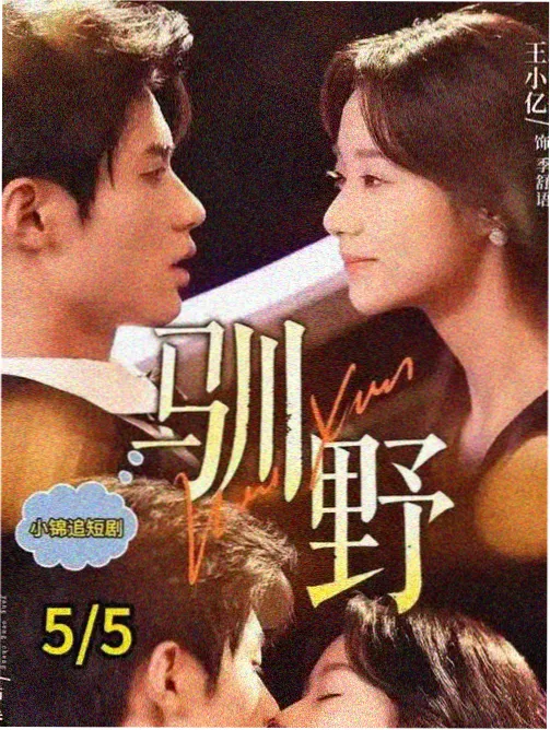 十三号诊室 免费观看电视剧
